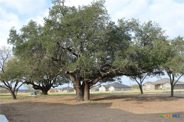 425 County Road 3152, Kempner, TX 76539