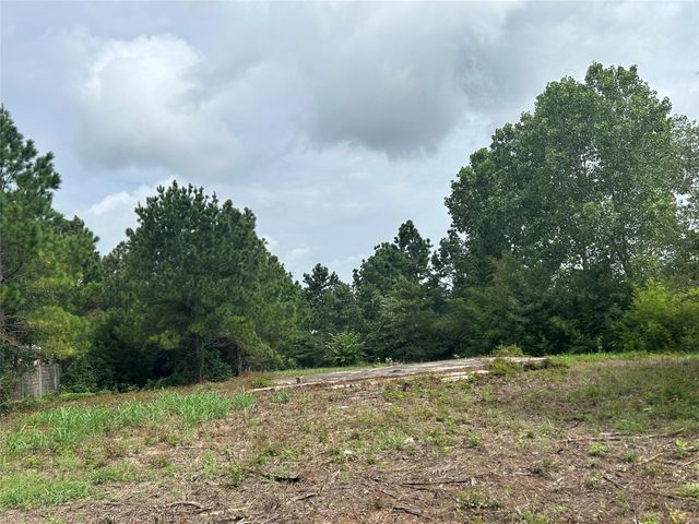 158 Cardinal LOOP, Paige, TX 78659
