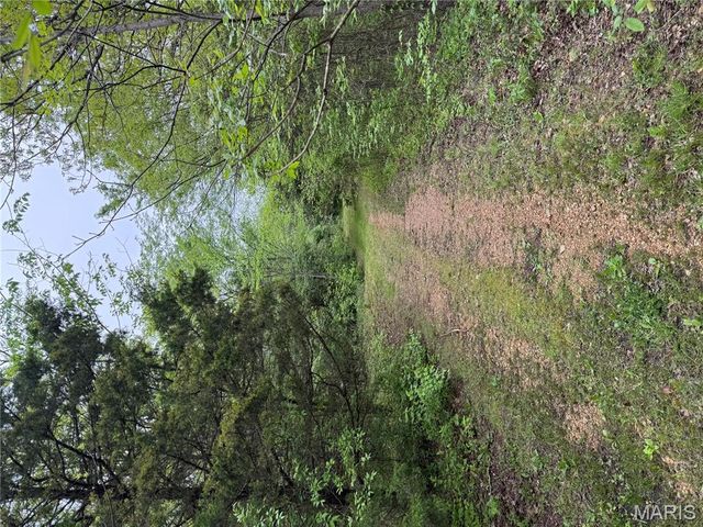 12711 Dude Lane, Fletcher, MO 63030