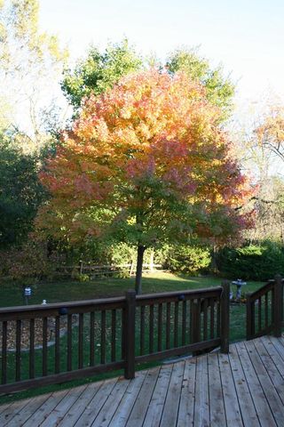 3427 E Elmwood DRIVE, Elmwood Park, WI 53405