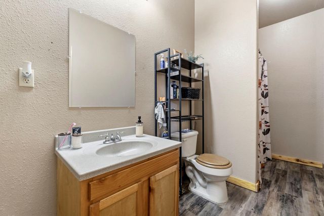 1239 Tony Peebles Road, Livingston, TX 77351