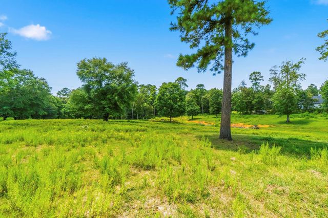 1239 Tony Peebles Road, Livingston, TX 77351