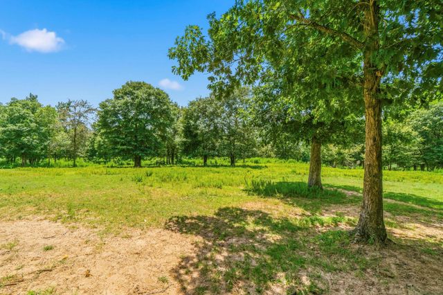 1239 Tony Peebles Road, Livingston, TX 77351