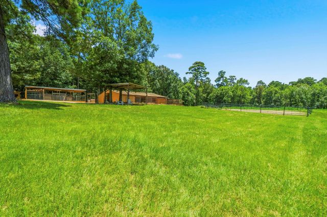 1239 Tony Peebles Road, Livingston, TX 77351