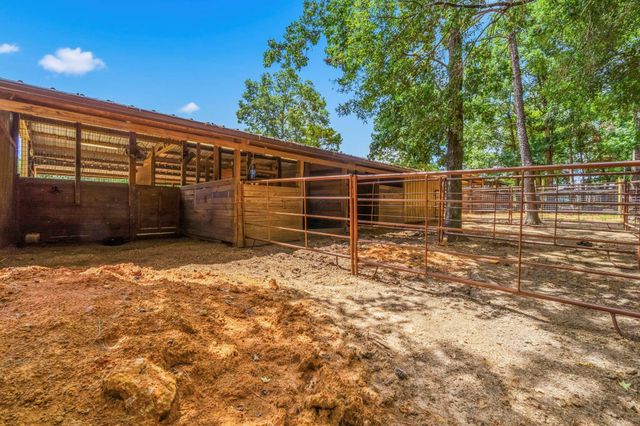 1239 Tony Peebles Road, Livingston, TX 77351