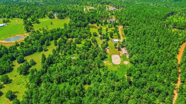 1239 Tony Peebles Road, Livingston, TX 77351