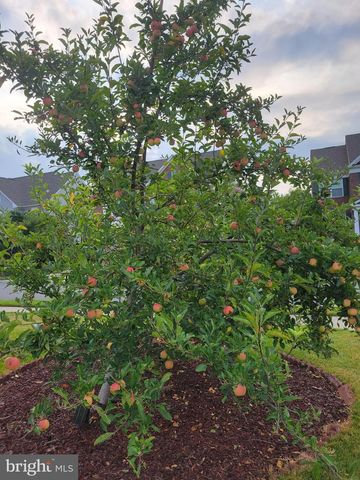 42134 AUTUMN RAIN CIR, Brambleton, VA 20148