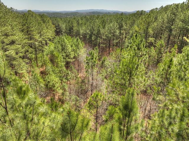 40 & 41 Blue Bird Trail, Copperhill, TN 37317
