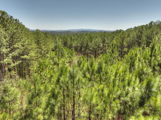 40 & 41 Blue Bird Trail, Copperhill, TN 37317