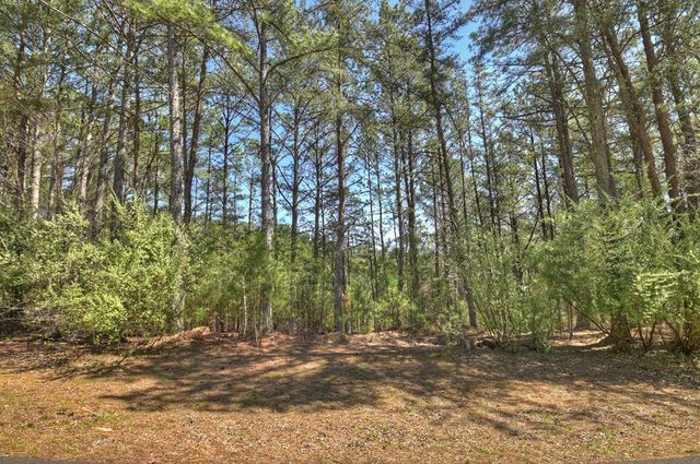 40 & 41 Blue Bird Trail, Copperhill, TN 37317