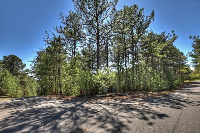 40 & 41 Blue Bird Trail, Copperhill, TN 37317