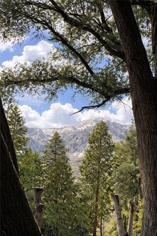 40204 Valley Of The Falls, Forest Falls, CA 92339