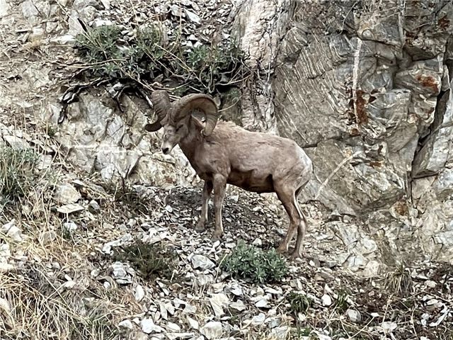 40204 Valley Of The Falls, Forest Falls, CA 92339