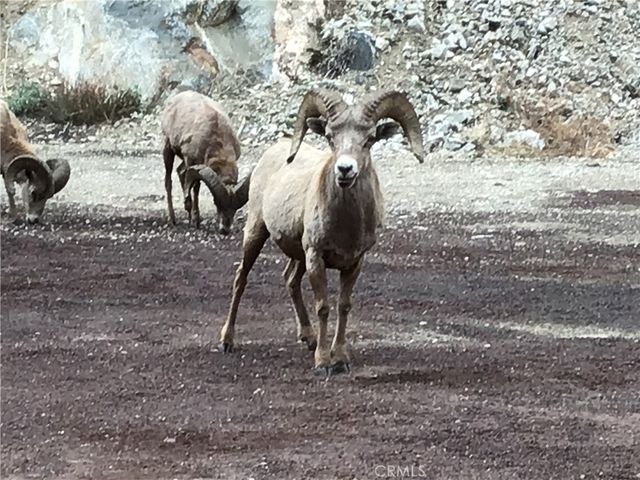 40204 Valley Of The Falls, Forest Falls, CA 92339