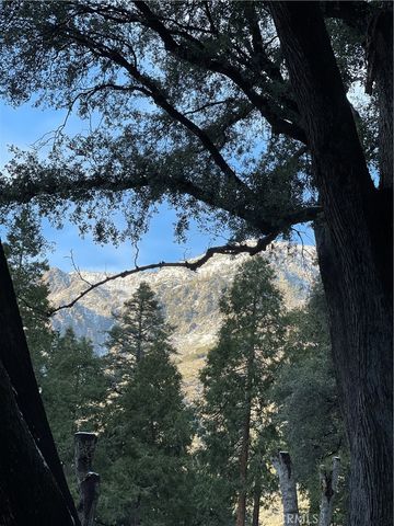 40204 Valley Of The Falls, Forest Falls, CA 92339