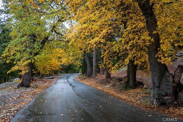 40204 Valley Of The Falls, Forest Falls, CA 92339