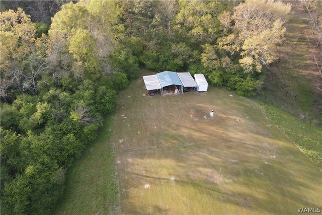 33 Pay, Gordo, AL 35466