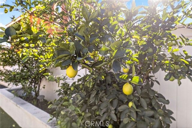 36696 Pavic Court, Lake Elsinore, CA 92532