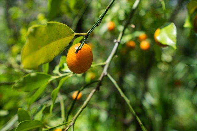 3 OLD POST ROAD, Longwood, FL 32779