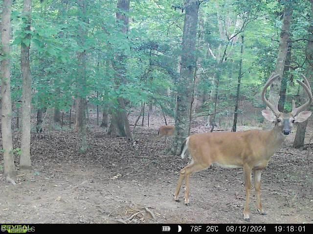 4366 NC HIGHWAY 49 S, Asheboro, NC 27205