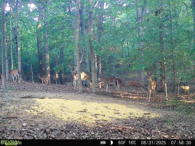 4366 NC HIGHWAY 49 S, Asheboro, NC 27205