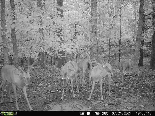 4366 NC HIGHWAY 49 S, Asheboro, NC 27205