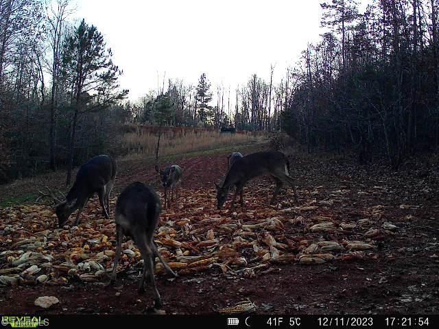 4366 NC HIGHWAY 49 S, Asheboro, NC 27205