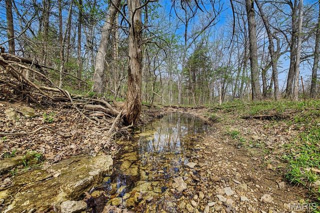 6388 Salamone Road, Cedar Hill, MO 63016