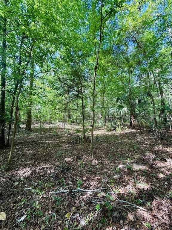 Image 1 of property listing at 14037 OLD CRYSTAL RIVER ROAD, Brooksville, FL 34601