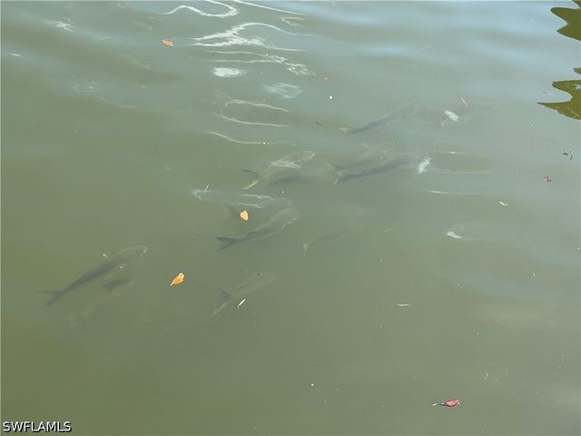 4754 Spring Creek DR, Bonita Springs, FL 34134