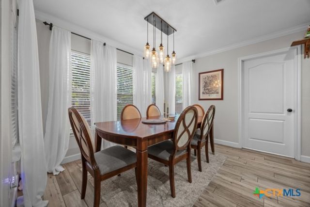 1187 Forest Bluff Trail, Round Rock, TX 78665