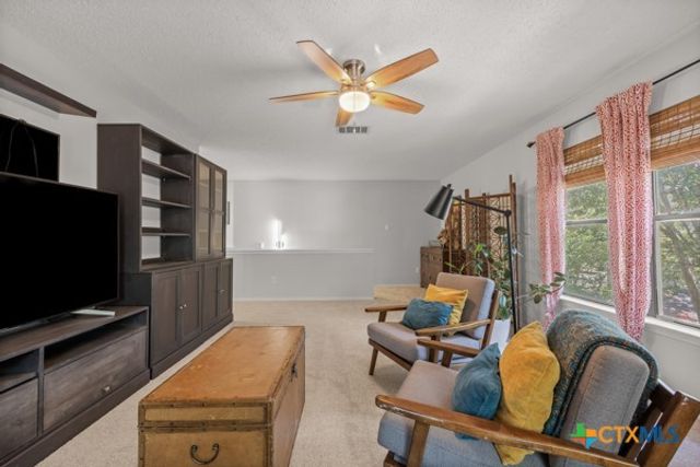 1187 Forest Bluff Trail, Round Rock, TX 78665