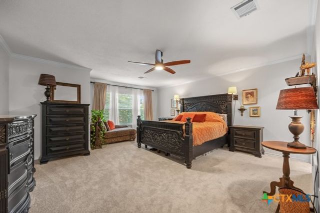 1187 Forest Bluff Trail, Round Rock, TX 78665