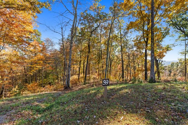 Lot 59 Ridge Line Trail, Ellijay, GA 30540