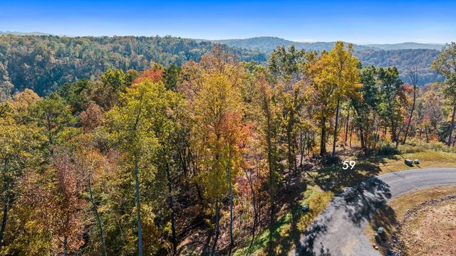 Lot 59 Ridge Line Trail, Ellijay, GA 30540