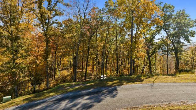 Lot 59 Ridge Line Trail, Ellijay, GA 30540