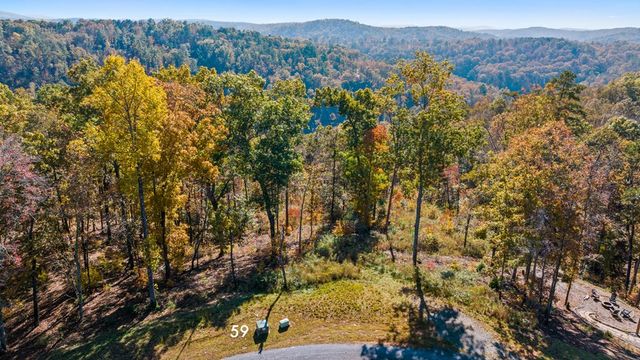 Lot 59 Ridge Line Trail, Ellijay, GA 30540