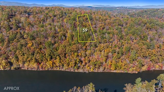 Lot 59 Ridge Line Trail, Ellijay, GA 30540
