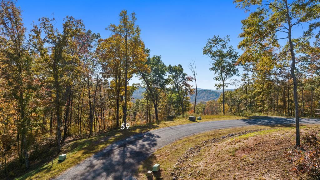 Lot 59 Ridge Line Trail, Ellijay, GA 30540