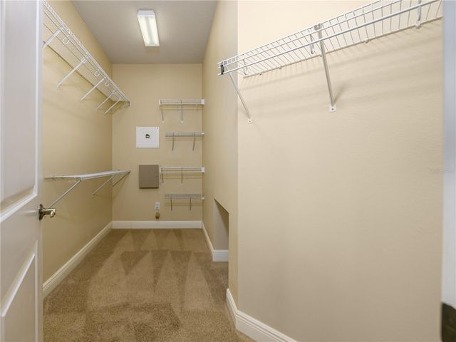 4982 ANNISTON CIRCLE, Tampa, FL 33647