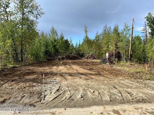 3540 S Anderson Street, Big Lake, AK 99652