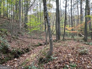 1806 Browning Road, Rockmart, GA 30153