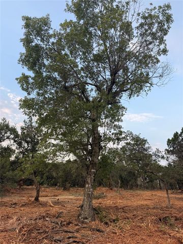 4155 Bee Creek RD, Spicewood, TX 78669