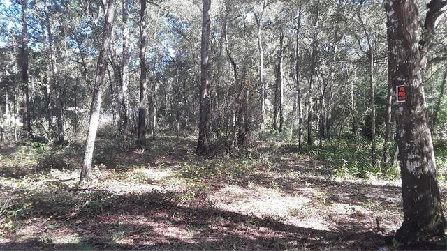 00 NW CHESTNUT AVENUE, Dunnellon, FL 34431