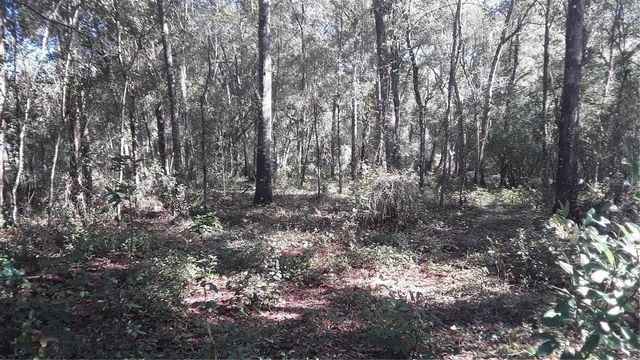00 NW CHESTNUT AVENUE, Dunnellon, FL 34431