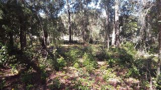 00 NW CHESTNUT AVENUE, Dunnellon, FL 34431
