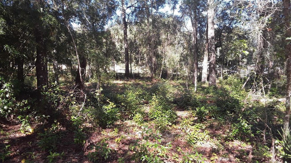 00 NW CHESTNUT AVENUE, Dunnellon, FL 34431