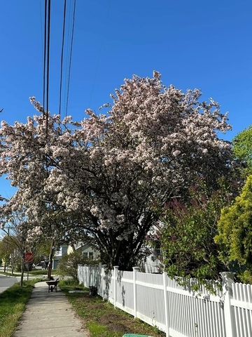 316 Waseca Avenue, Barrington, RI 02806
