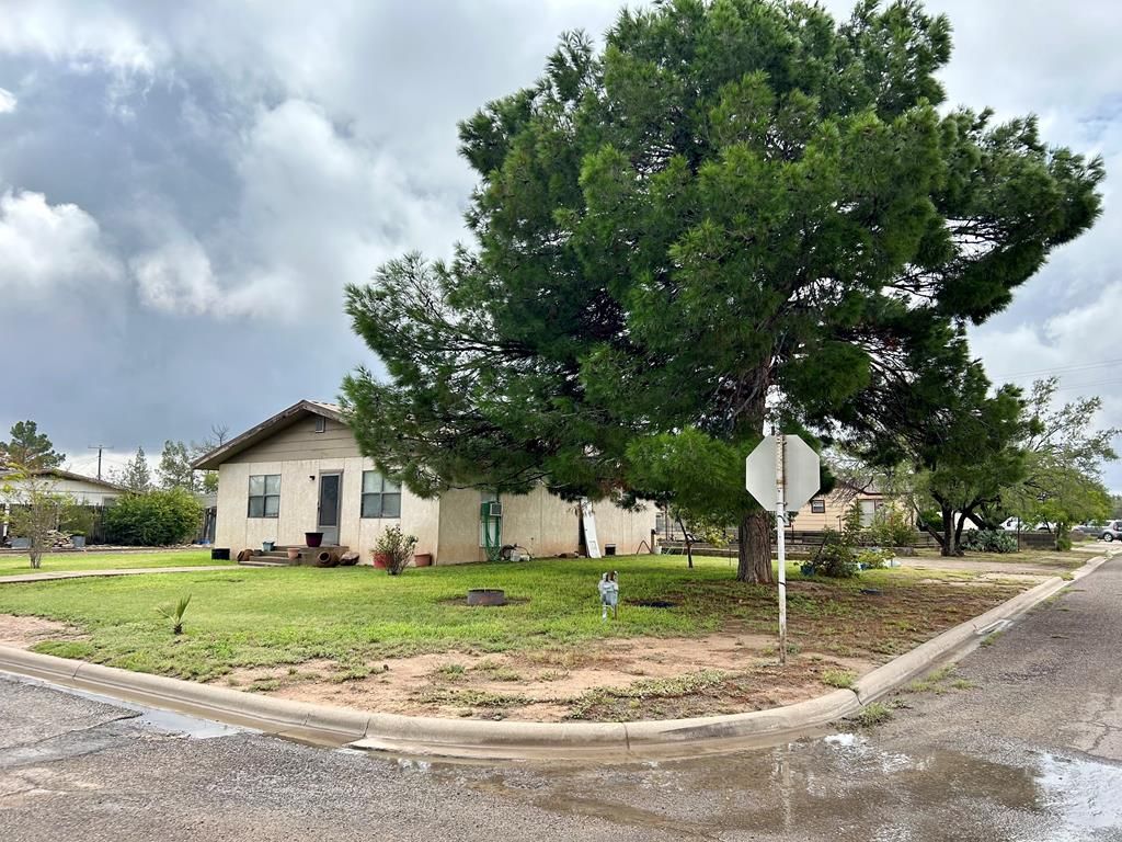 809 W Hornbeck, Fort Stockton, TX 79735