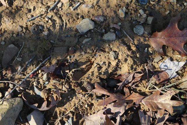 1386 Polk Rd 48, Mena, AR 71953